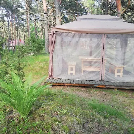 Vesiroos