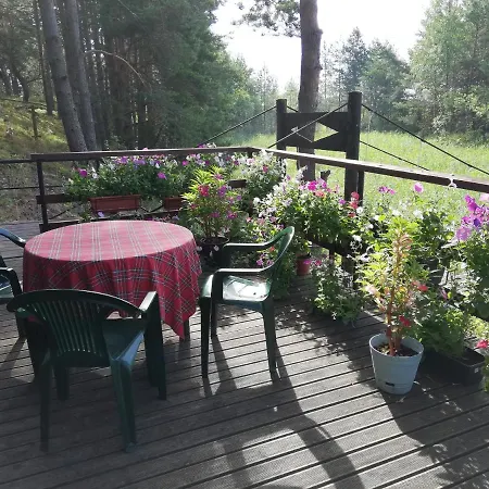 Vesiroos Alajõe